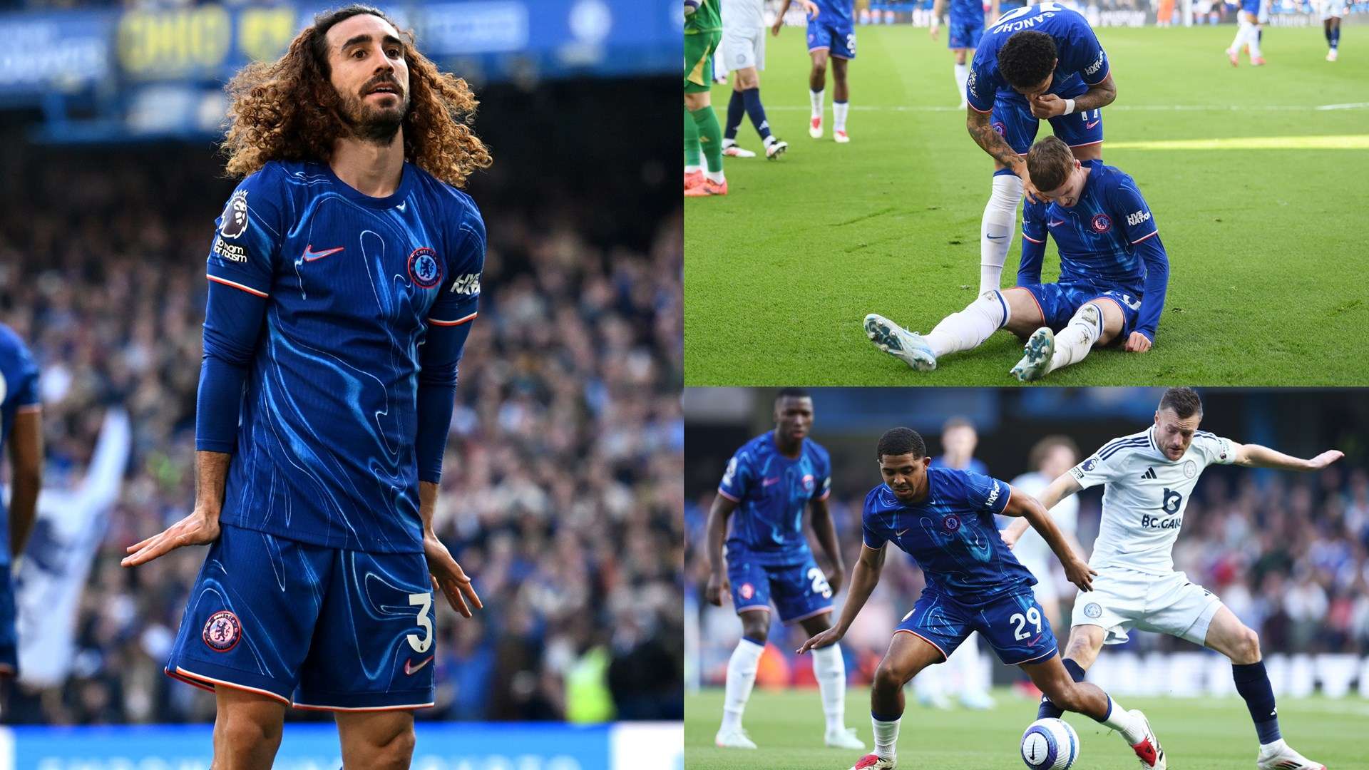 胜黄蜂的重 胜黄蜂的重