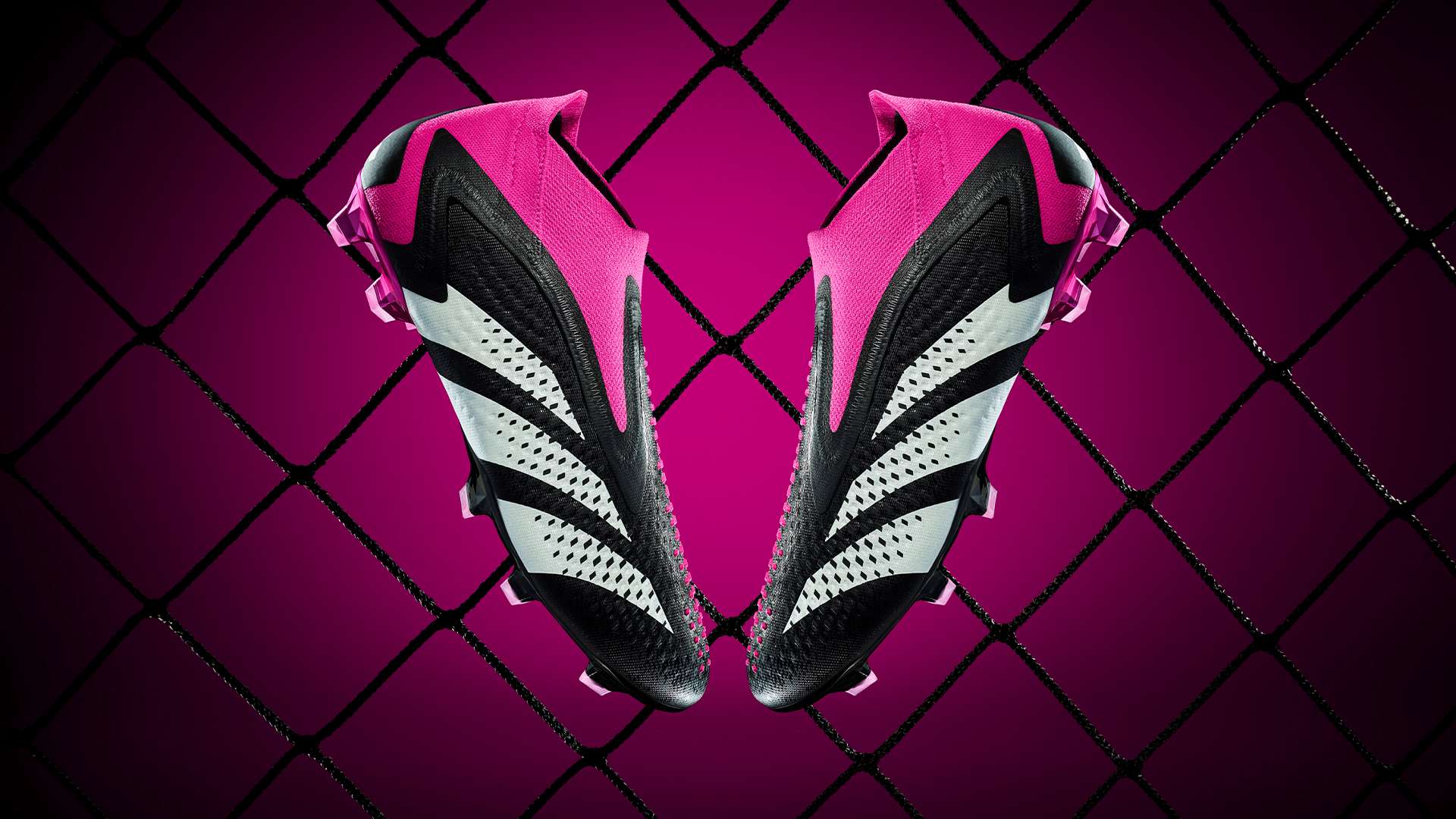 事背后的故 事背后的故